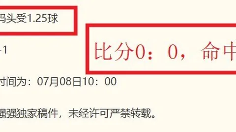 2026欧洲杯精彩集锦：魔笛神锋，扎卡尼绝平，意大利携手出线